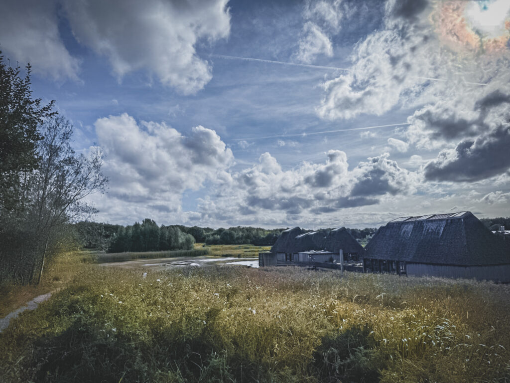 Photo of Brockholes Nature reserve in the sunlight